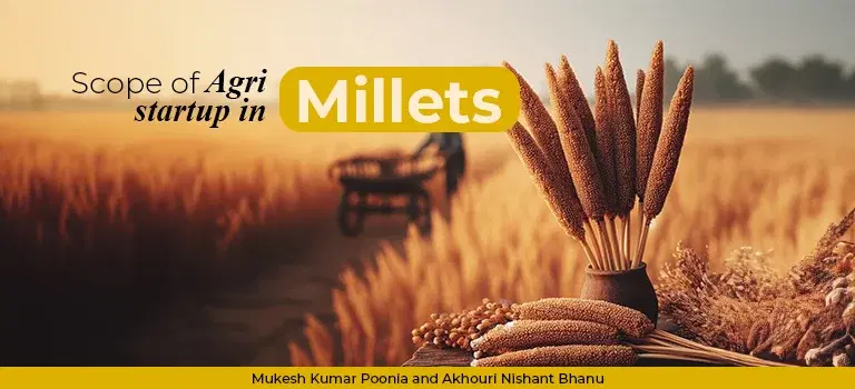 Scope of Agri-startup in Millets